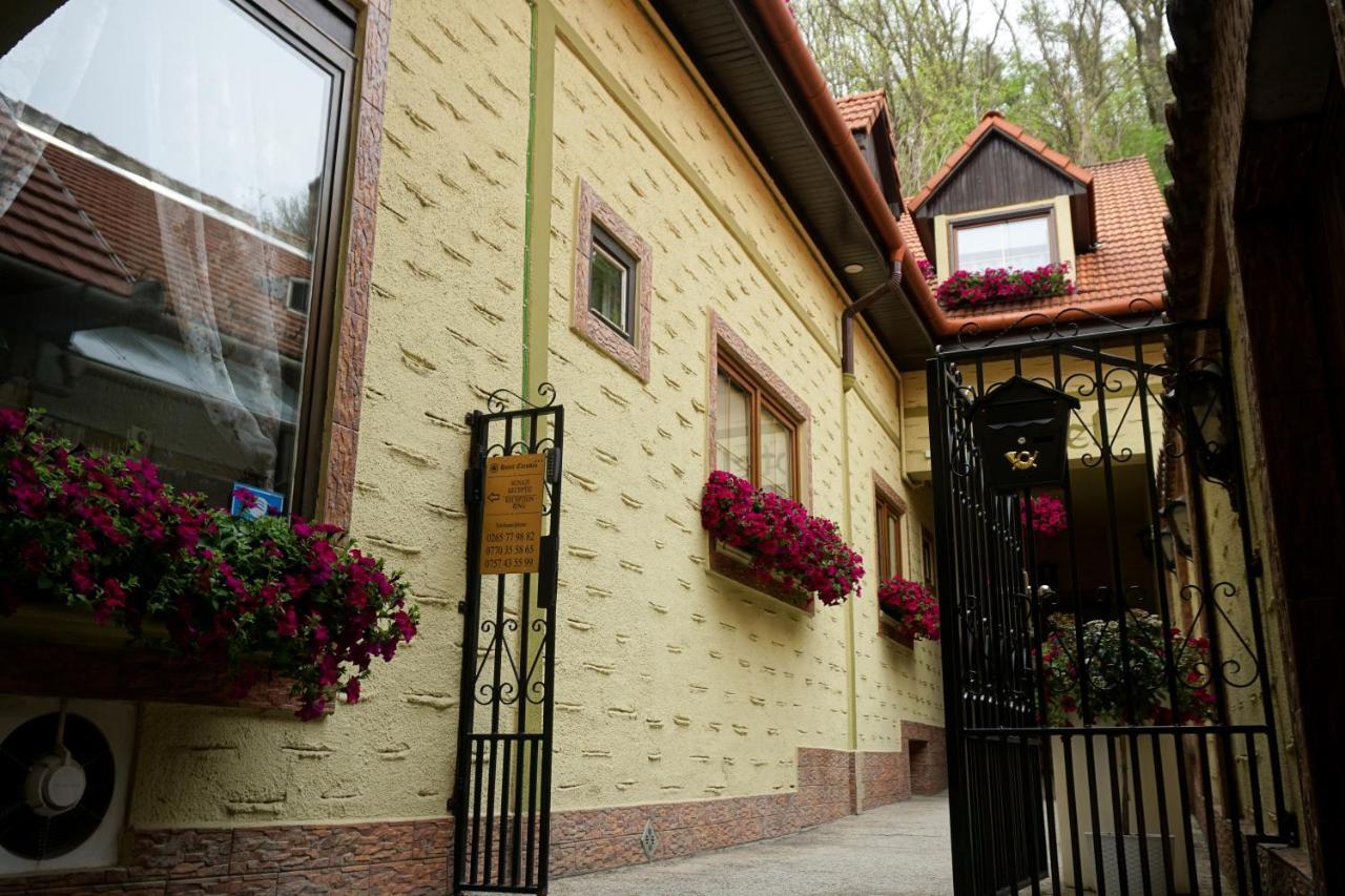 Hotel Claudiu Segesvár Kültér fotó
