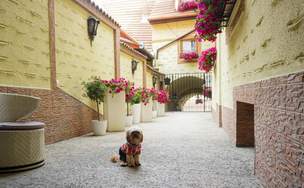 Hotel Claudiu Segesvár Kültér fotó